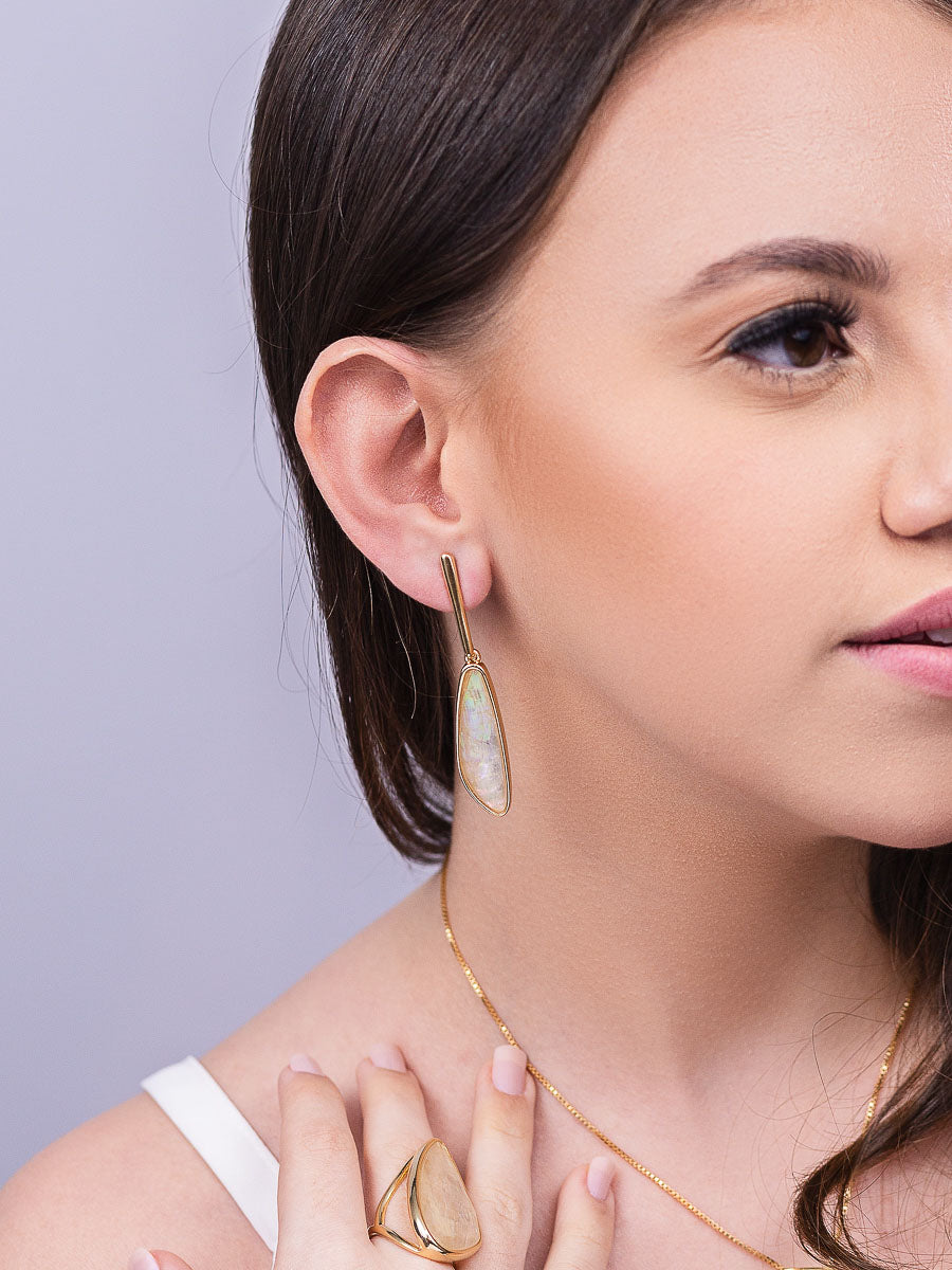 Linear Earring in Nautilus Shell | Gold Plated