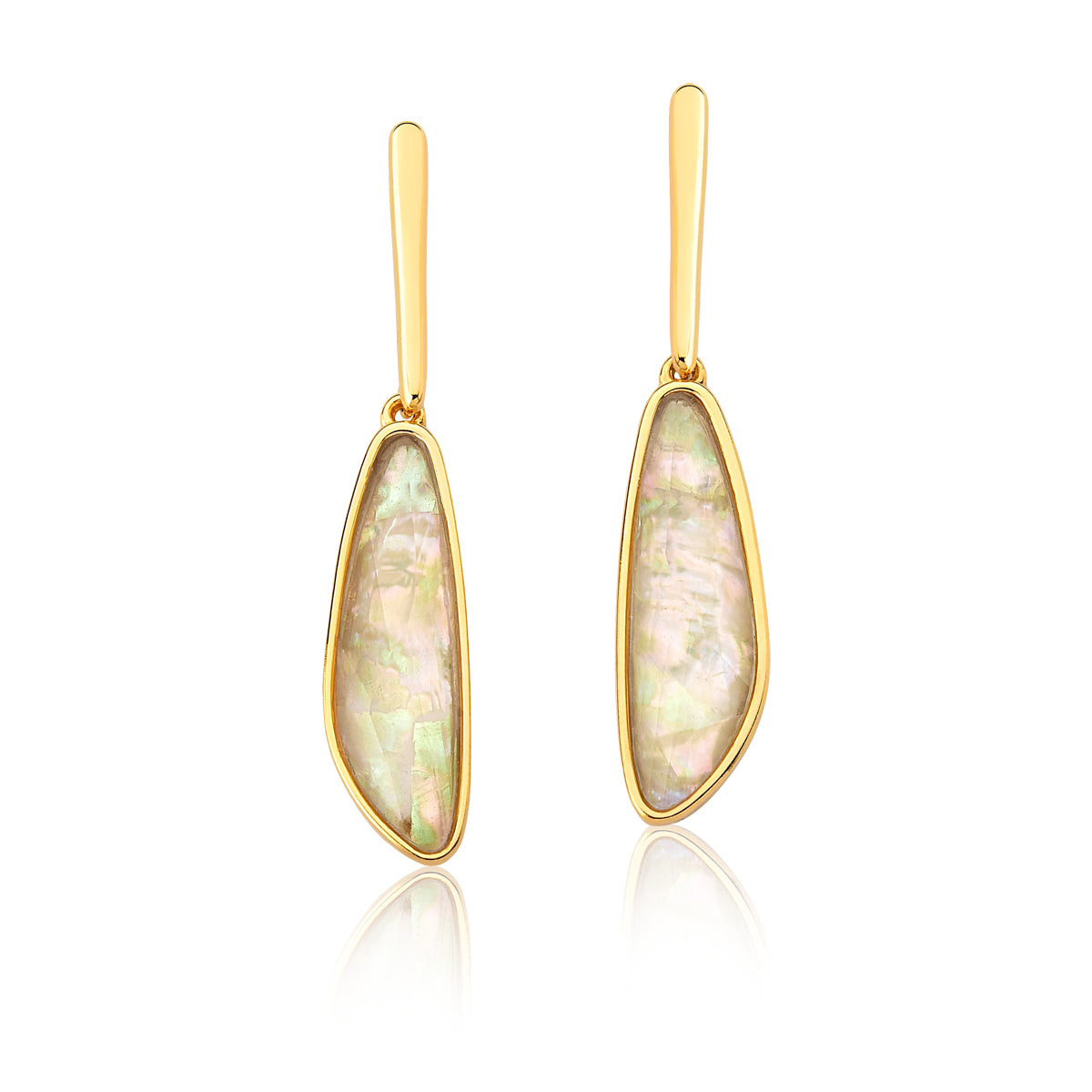 Linear Earring in Nautilus Shell | Gold Plated